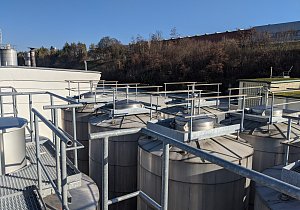 PXL 20201118 124207149