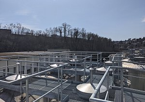 PXL 20210401 123432056