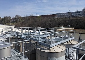 PXL 20210401 123506887